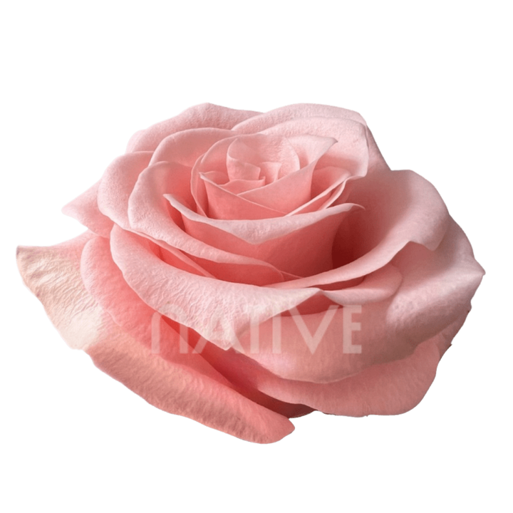Be Sweet Roses 40 CM