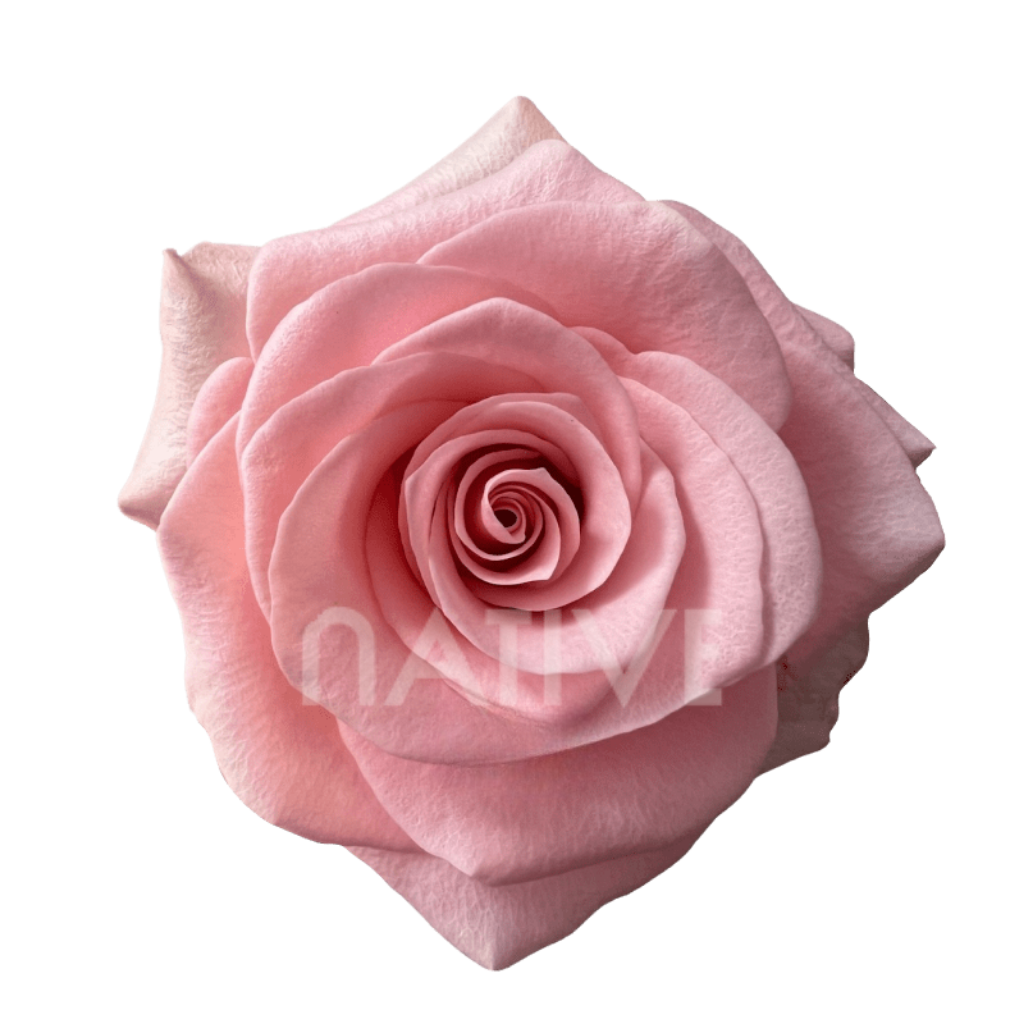 Be Sweet Roses 40 CM