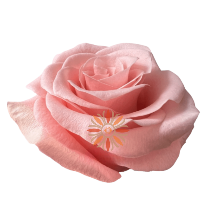 Be Sweet Roses 40 CM