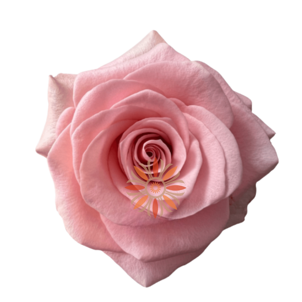 Be Sweet Roses 40 CM
