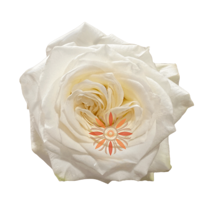 Candlelight Roses 40 CM