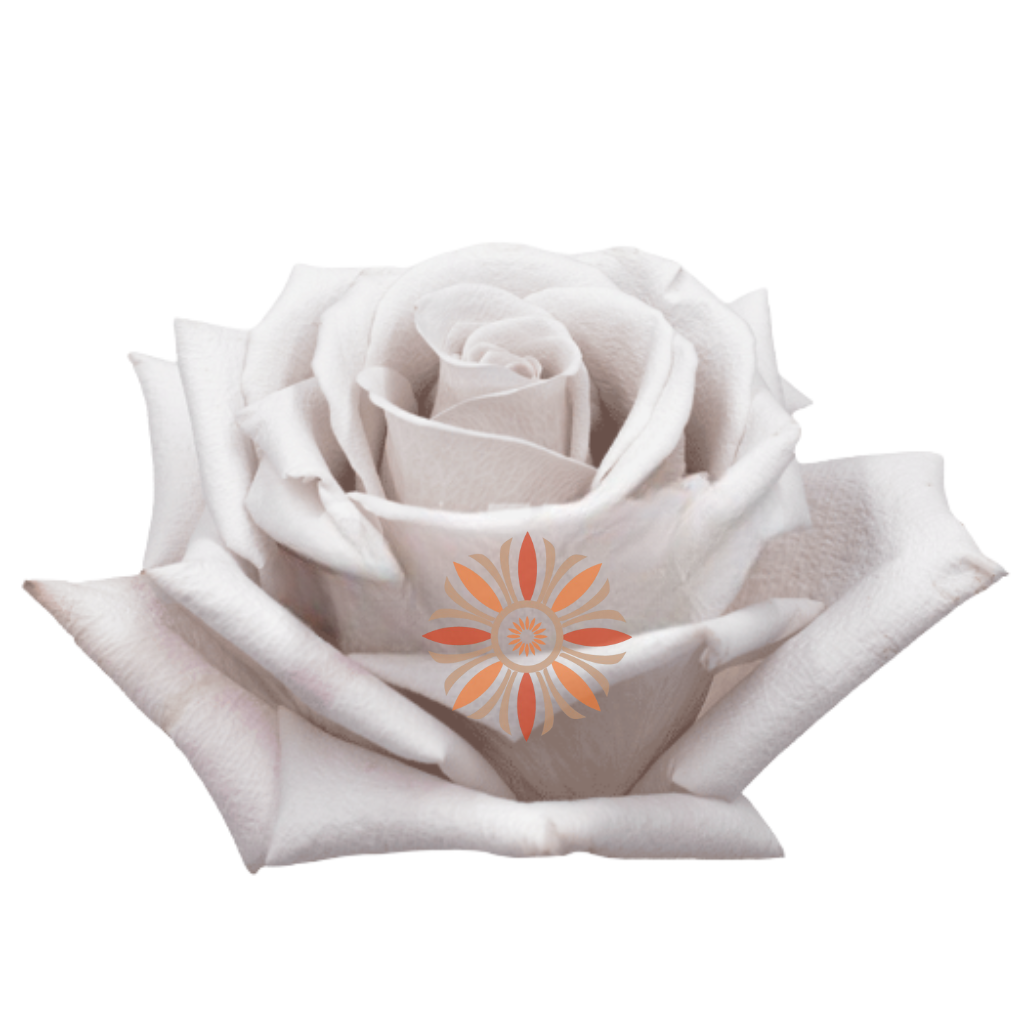 Menta Roses 80 CM