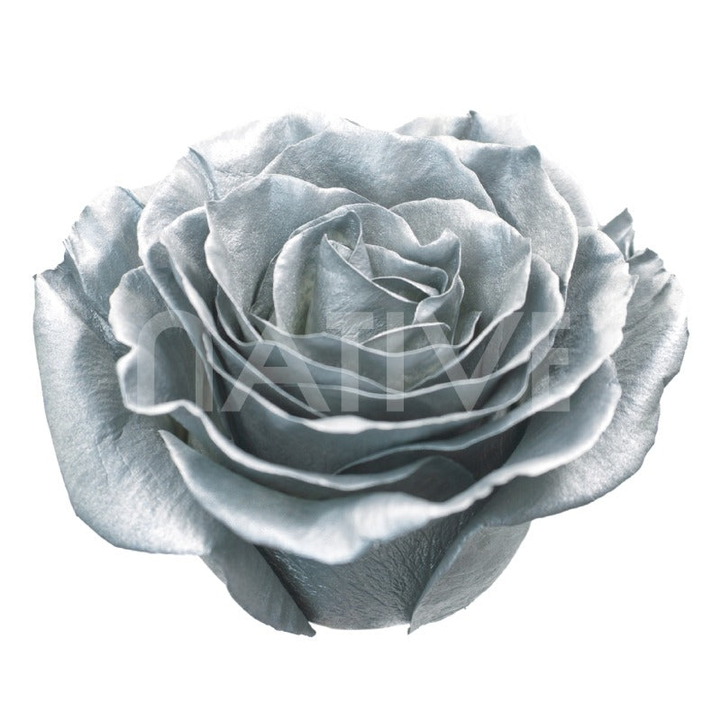Silver Metallic Tinted Roses 60 CM