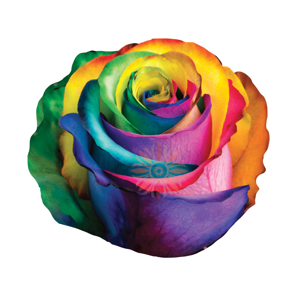 Rainbow Tinted Roses 40 CM