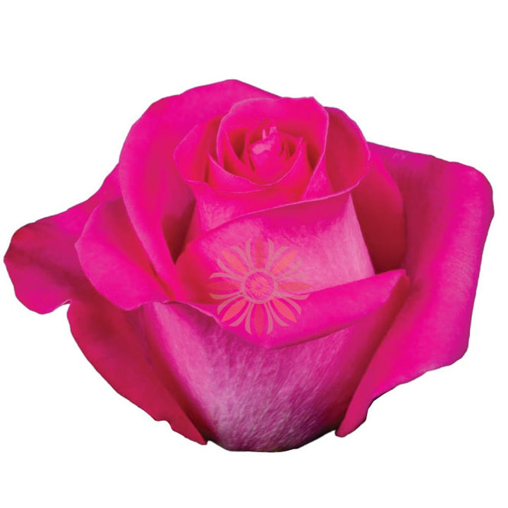 Topaz Roses 50 CM